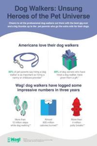 Not Just for the Dogs: Pet Parents Love Their Dog Walkers